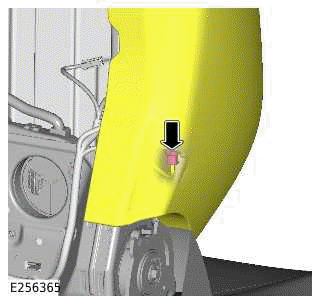 Side Airbag Module